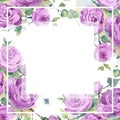 Purple rose bouquet floral botanical flowers. Watercolor background illustration set. Frame border ornament square.