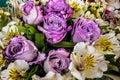 Purple rose bouquet with white flower around Royalty Free Stock Photo