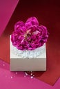 Purple rose decorated on a paper box decorated with snow on a dark purple background. Promote products design on bright purple Royalty Free Stock Photo