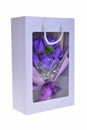 Purple rose in a gift box isolated on white background with clipping path Royalty Free Stock Photo