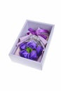 Purple rose in a gift box isolated on white background with clipping path Royalty Free Stock Photo