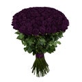 Purple rose. Isolated large bouquet of 101 rose on white Royalty Free Stock Photo