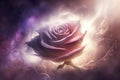 a purple rose is in the middle of a purple and pink background with swirls and stars in the background, and a white swirl around