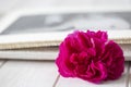 Purple rose with a photograph in a wedding album in the background.