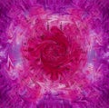Purple rose spiral background design. Feminine concept.