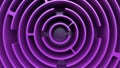 Purple round labyrinth. Top view. Full frame Royalty Free Stock Photo
