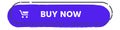 Purple rounded rectangle buy now button featuring a shopping cart icon, symbolizing online shopping and promoting immediate