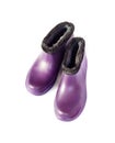 Purple rubber insulated galoshes isolated