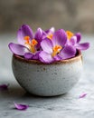 Purple saffron crocus flowers in a rustic ceramic bowl, close-up shot on marble surface Royalty Free Stock Photo