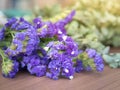 Purple satirist flowers on wooden table. Royalty Free Stock Photo