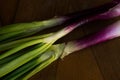 Purple scallion, onion line composition