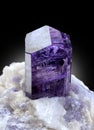 purple scapolite on matrix Mineral specimen from badakhshan afghanistan