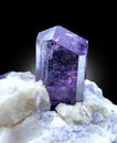 purple scapolite on matrix Mineral specimen from badakhshan afghanistan