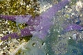 Purple Sea Star starfish partially submerged in tidepool water, British Columbia, Canada.