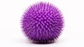 purple sea urchin on white background. Purple sea urchin, Paracentrotus lividus. AI Generative Royalty Free Stock Photo