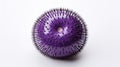 purple sea urchin on white background. Purple sea urchin, Paracentrotus lividus. AI Generative Royalty Free Stock Photo