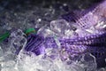 Purple seafood bag covered partially by ice Royalty Free Stock Photo