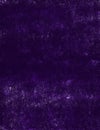 Purple on Purple Series 9 Royalty Free Stock Photo