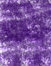 Purple on Purple Series 16 Royalty Free Stock Photo