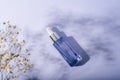 Purple serum bottle and gypsophilla flowers, hard shadows. Natural cosmetics, spa and wellness concept. Top view Royalty Free Stock Photo