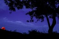 Purple shaded night sky with a blood moon seen through a tree silhouette