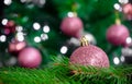 Purple shiny bauble and fir brunch on Christmas tree background. greeting card concept Royalty Free Stock Photo