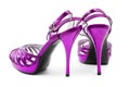 Purple shoes Royalty Free Stock Photo