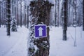 Purple sign with arrow pointing right. Trail marker on a tree in a snowy forest