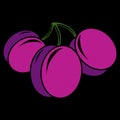 Purple simple vector plums, ripe sweet fruits illustration. Heal