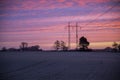 Purple sky on a cold wintermorning Royalty Free Stock Photo