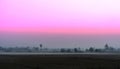 Purple sky at morning and fog around the rice field