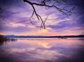 Purple sky over the lake after sunset