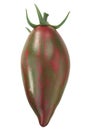 Purple Smaragd heirloom tomato, isolated