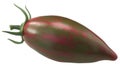 Purple Smaragd heirloom tomato, isolated