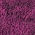 Purple soft fur texture Royalty Free Stock Photo