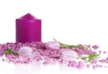 Purple spa treatment still life Royalty Free Stock Photo