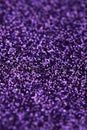 Purple Sparkle Glitter background. Holiday, Christmas, Valentines, Beauty and Nails abstract texture Royalty Free Stock Photo