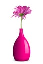 Purple spring flower in vase Royalty Free Stock Photo