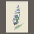 Purple spring flower. Vector illustration