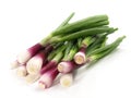 Purple Spring Onions on white Background - Isolated Royalty Free Stock Photo