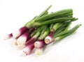 Purple Spring Onions on white Background - Isolated Royalty Free Stock Photo