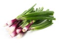 Purple Spring Onions on white Background - Isolated Royalty Free Stock Photo