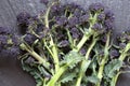 Purple Sprouting Broccoli Royalty Free Stock Photo