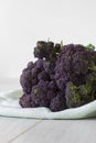 Purple sprouting broccoli bunch on a green tea towel Royalty Free Stock Photo