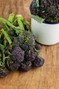 Purple sprouting broccoli Royalty Free Stock Photo