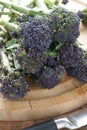 Purple sprouting broccoli Royalty Free Stock Photo