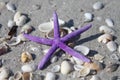Purple Star Royalty Free Stock Photo