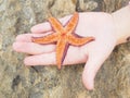 Purple starfish lying on its back, showing tentacles inside a child's hand