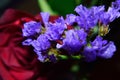 Purple Statice closeup with red rose background