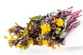 Purple stem mustard